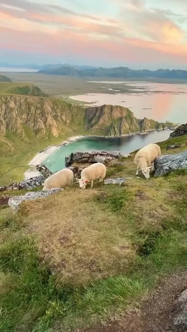 Andøya travel photo