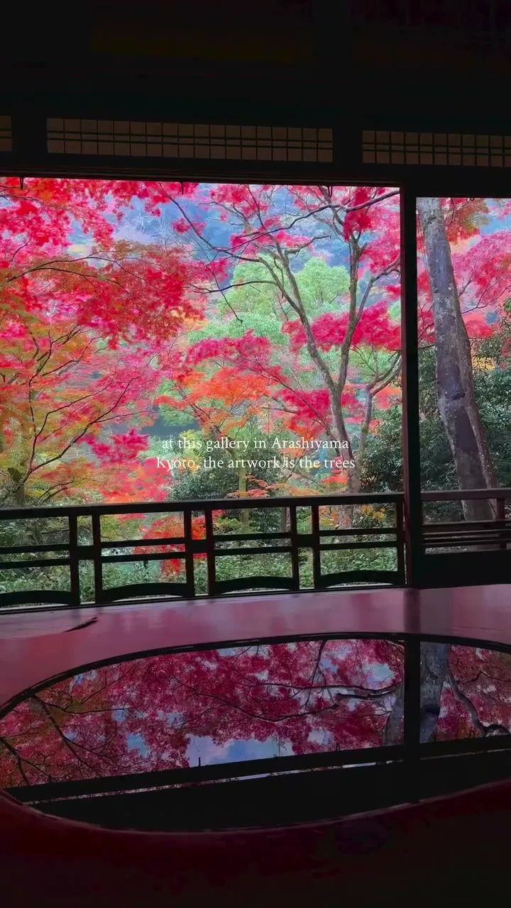 Kyoto travel photo