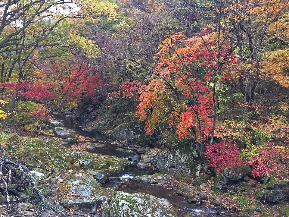 Hongcheon travel photo