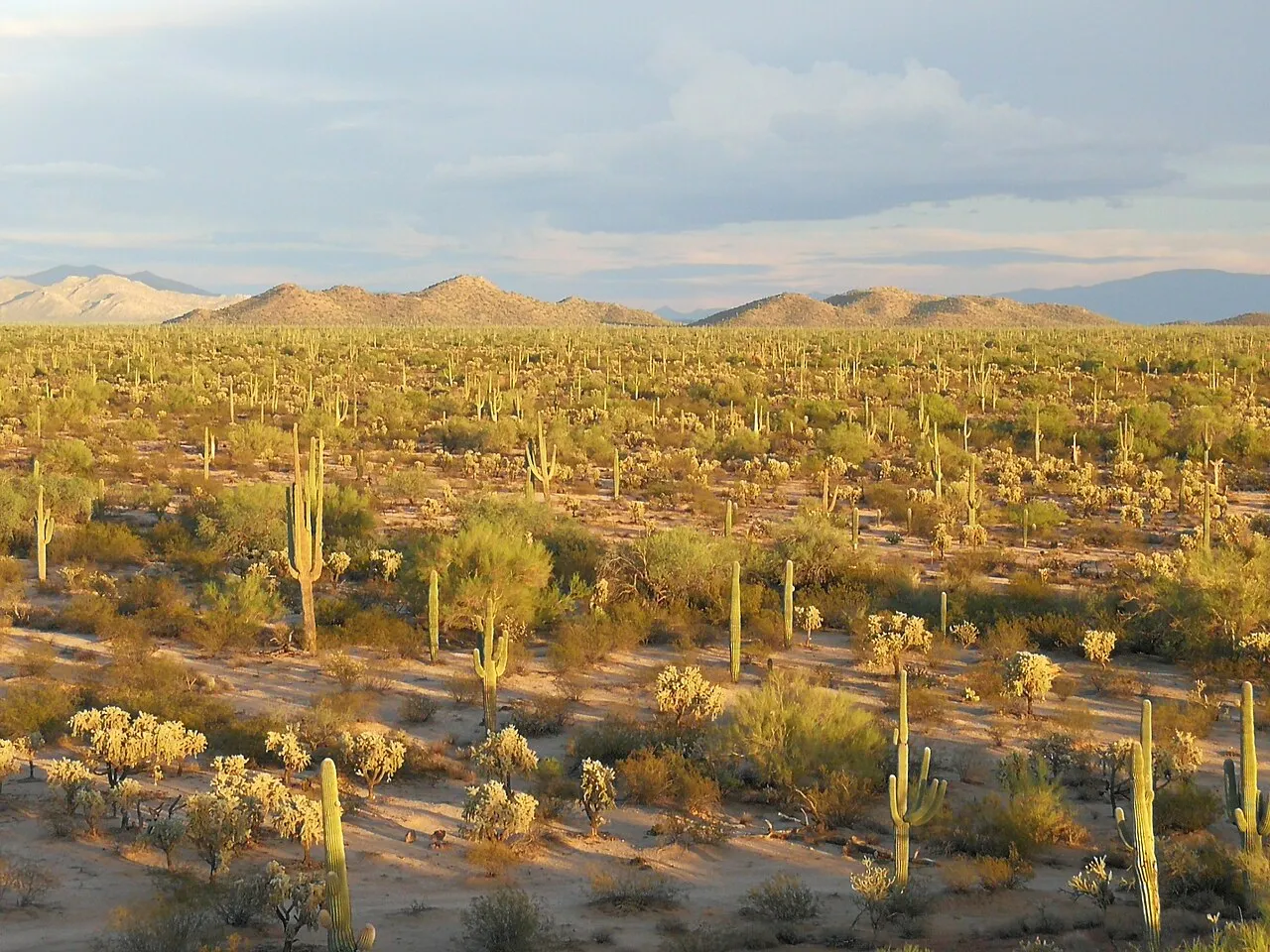 Arizona travel photo